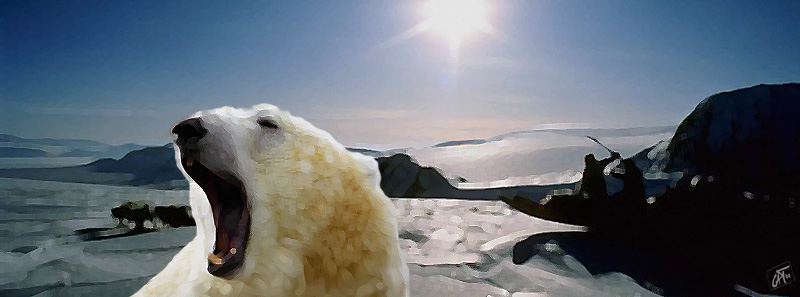 Picture of 
Icelanders